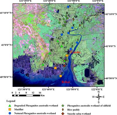 Characteristics and influencing factors of metal distribution in different wetlands of the Liaohe Delta, Northeastern China